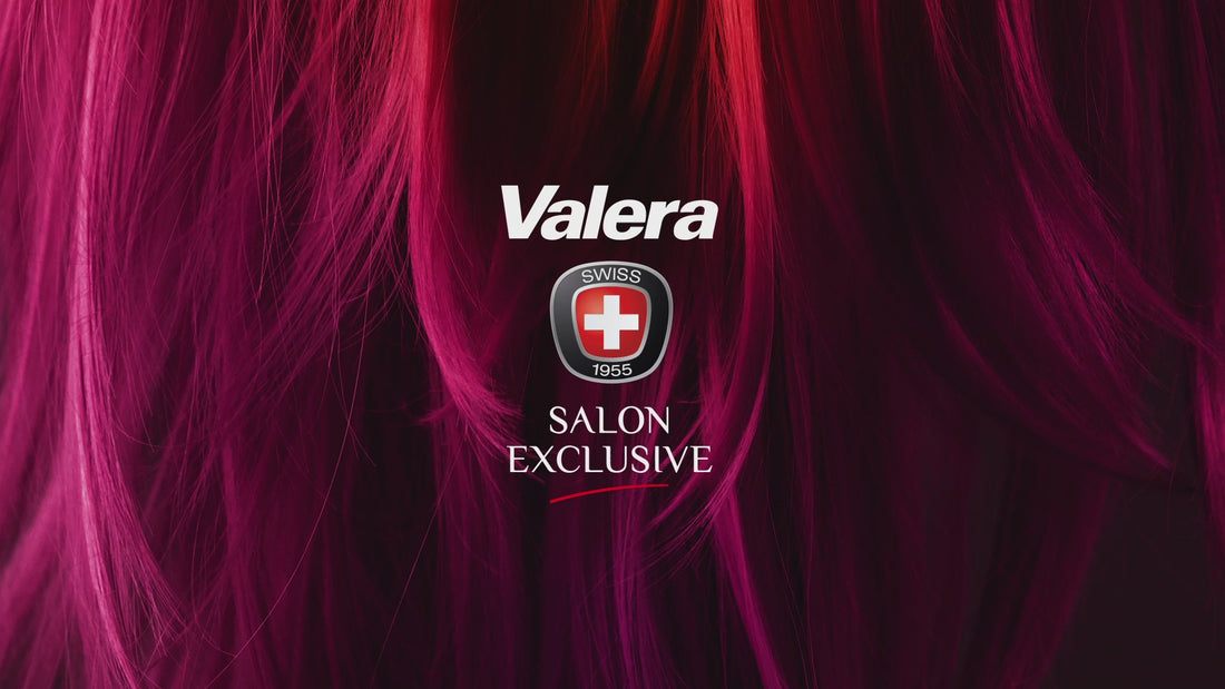 Color Pro 3000 Light professioneller Haartrockner